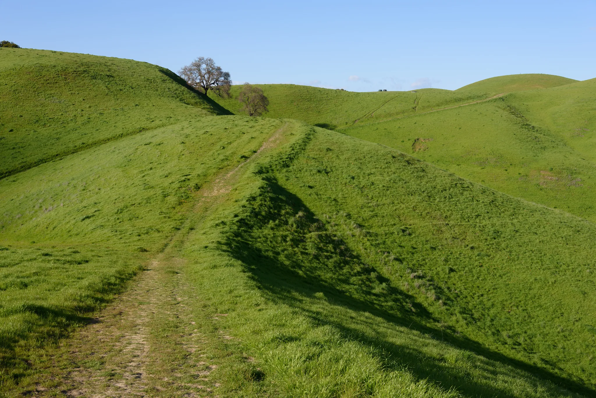 Briones Regional Park