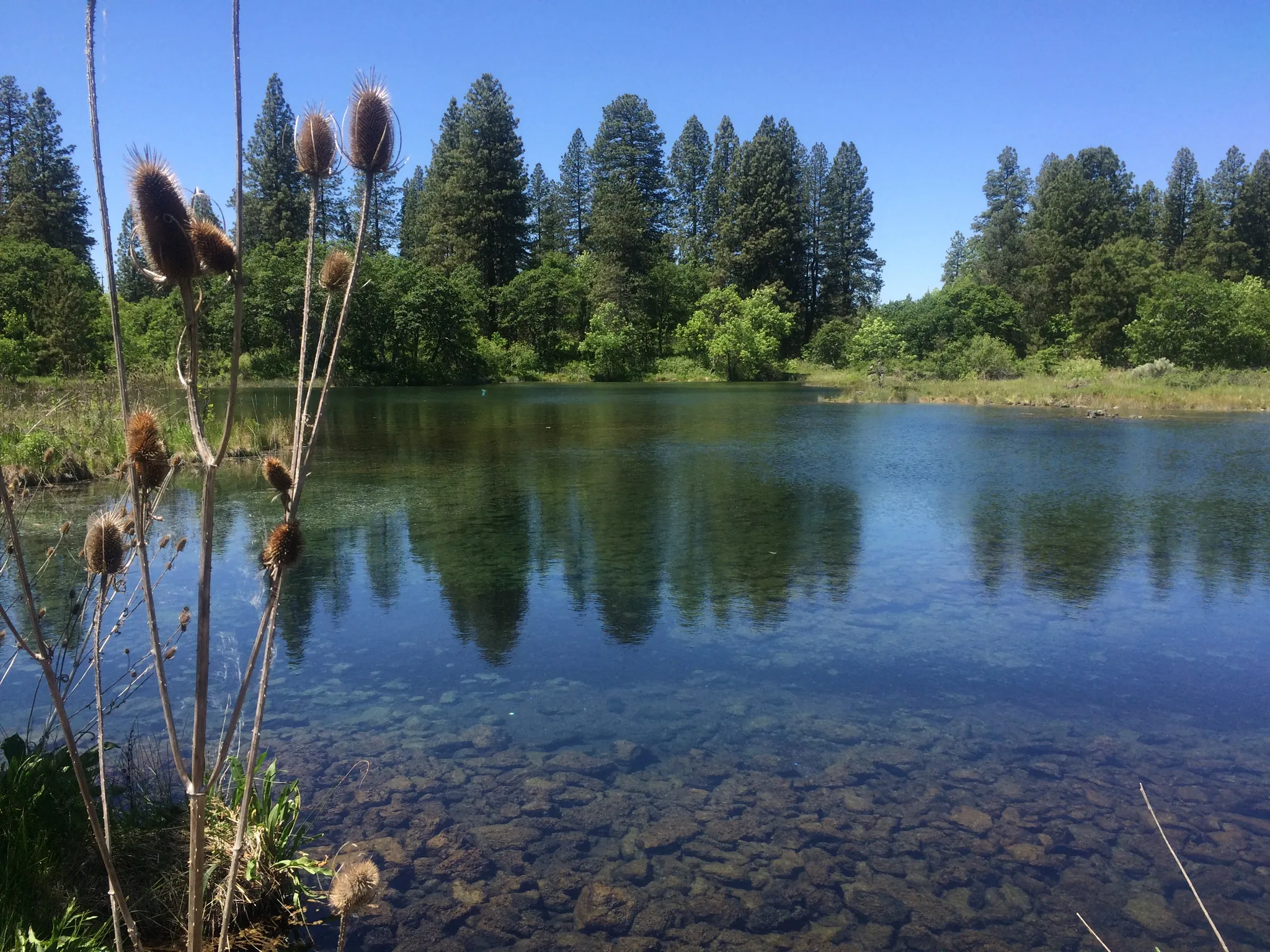 Ahjumawi Lava Springs State Park Campground