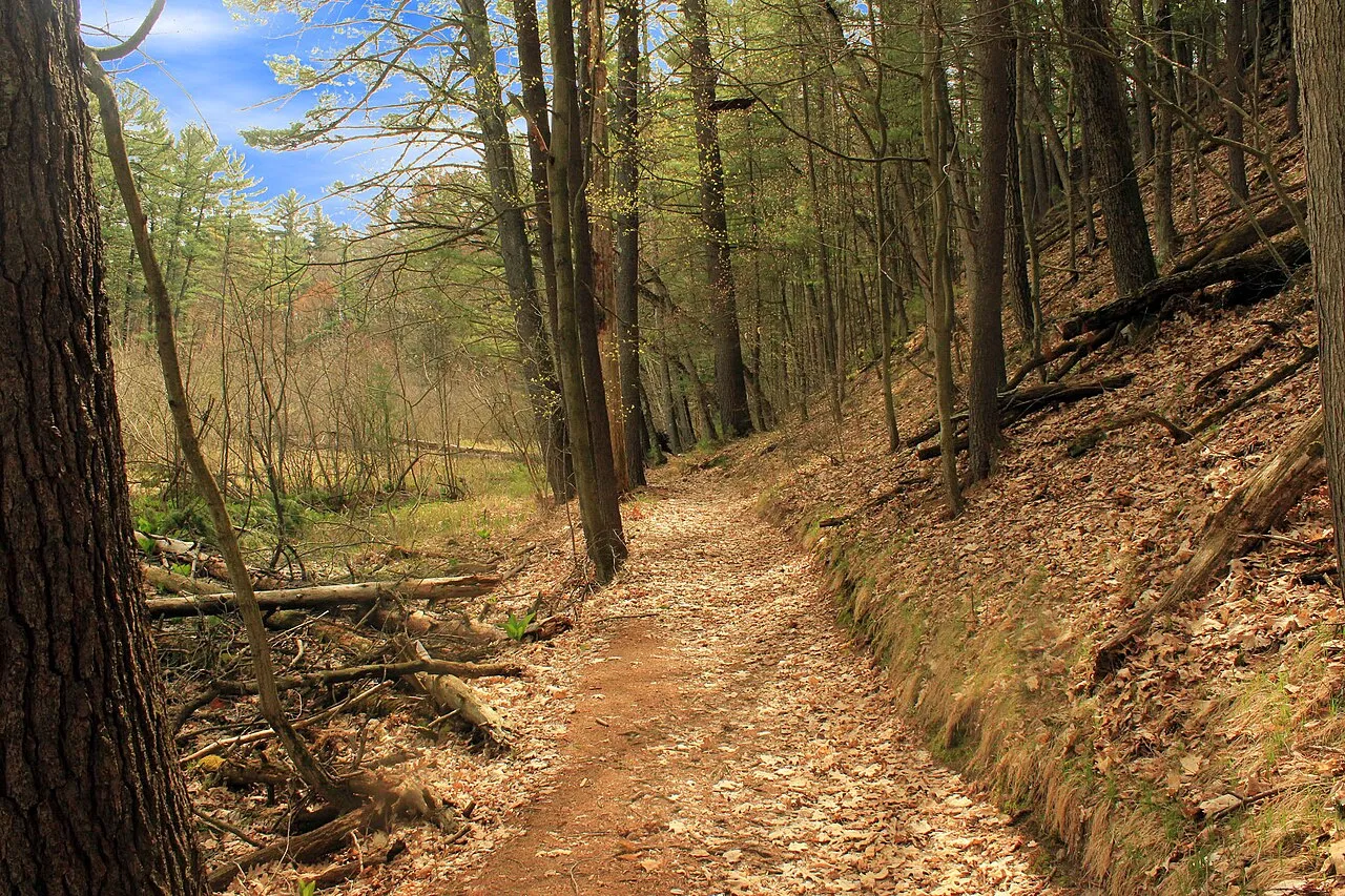 Rocky Arbor State Park