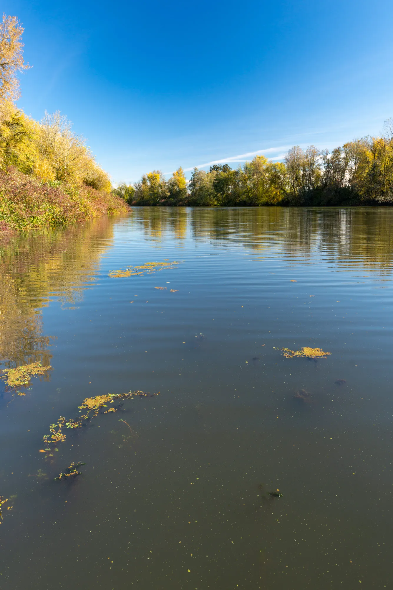 Willamette Mission State Park