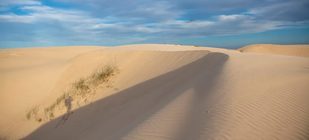 Monahans Sandhills State Park