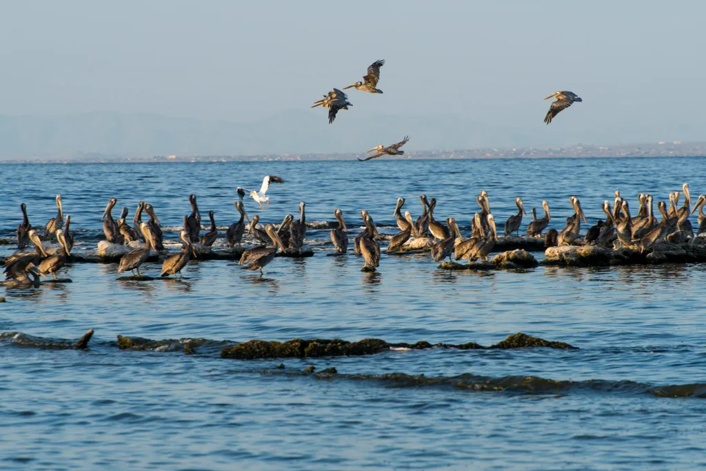 Salt Creek Beach Campground