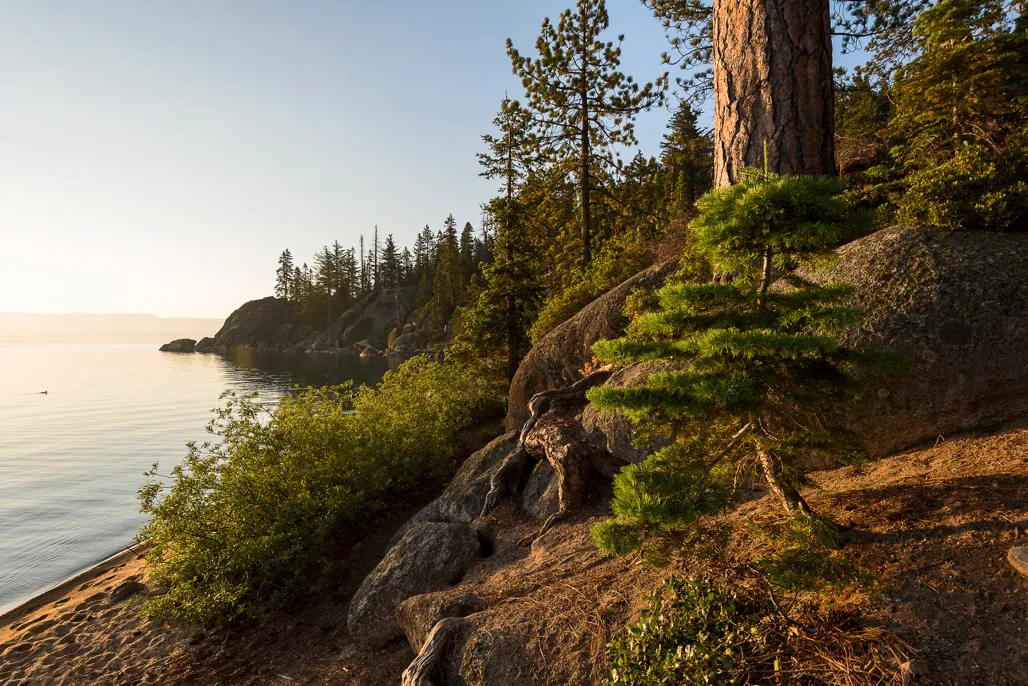 Pine Campground
