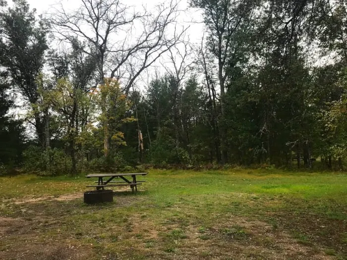 Manistee River Bridge State Forest Campground