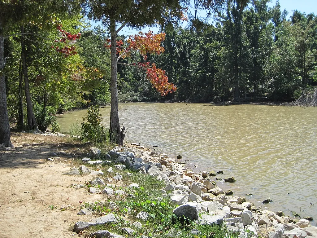 Lake Frierson Campground