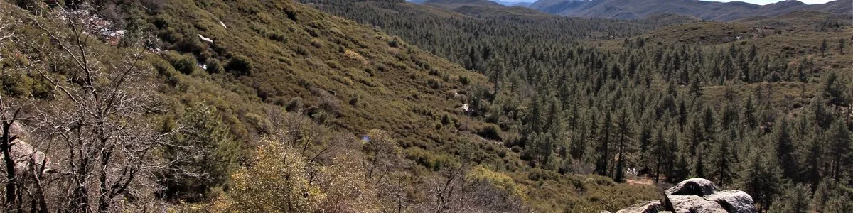 Upper San Juan Campground