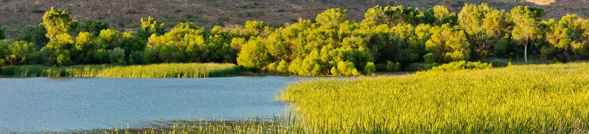 Boat-In Campsites
