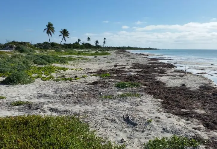 Bahia Honda State Park Campground
