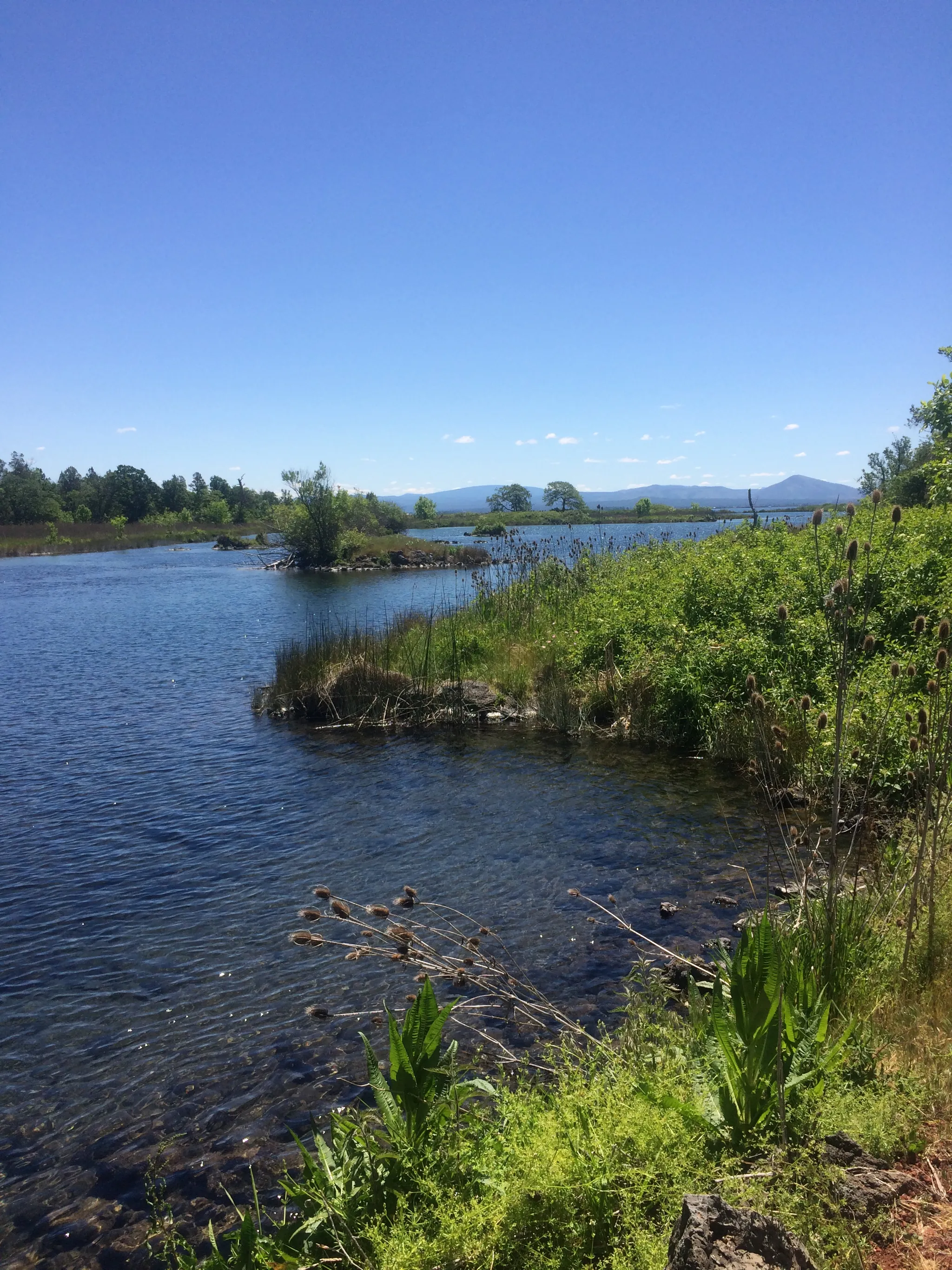 Ahjumawi Lava Springs State Park Campground