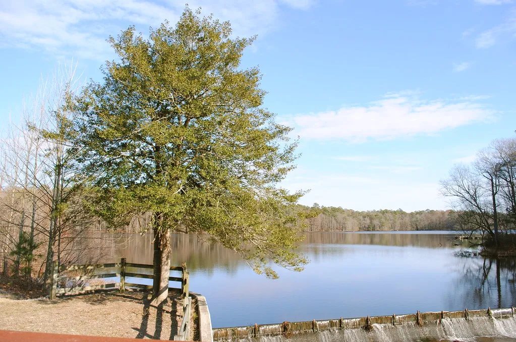 Trap Pond State Park