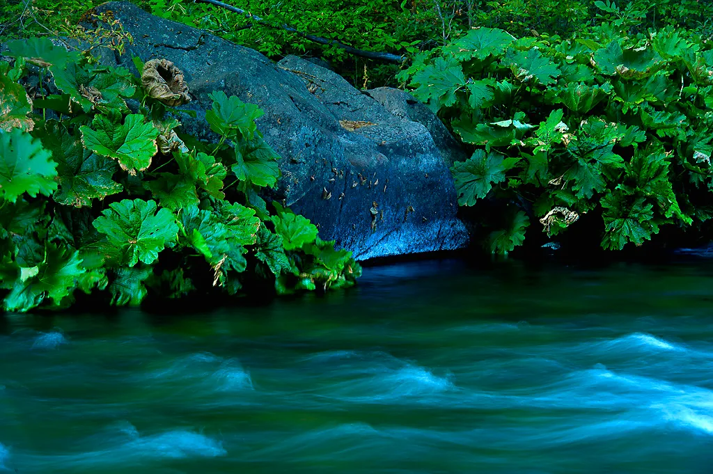 Riverside Campground