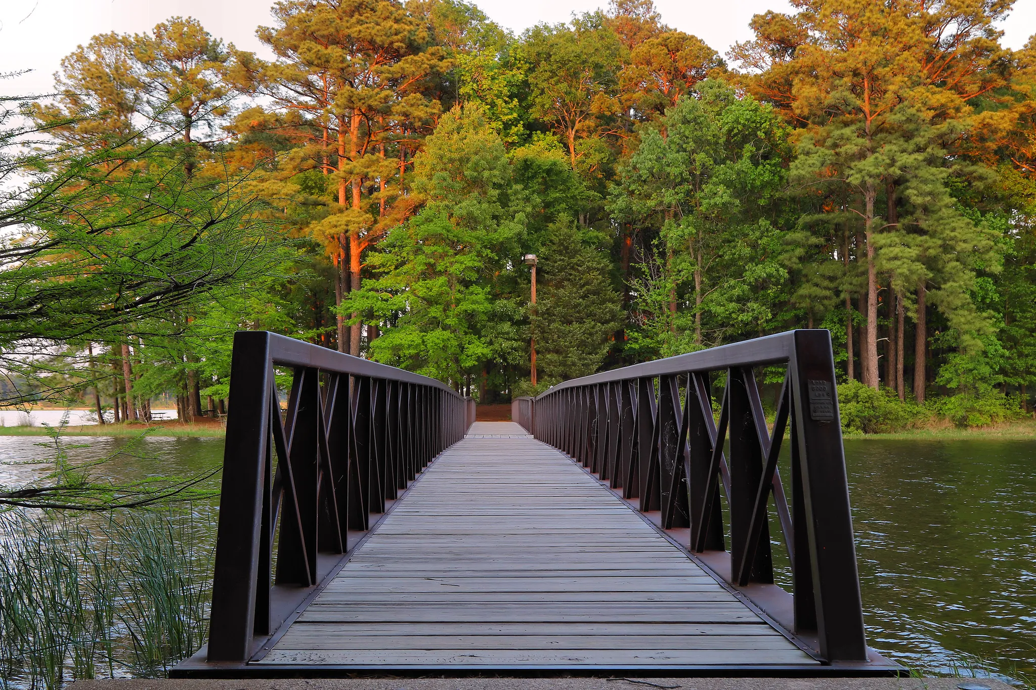 Martin Creek Lake State Park