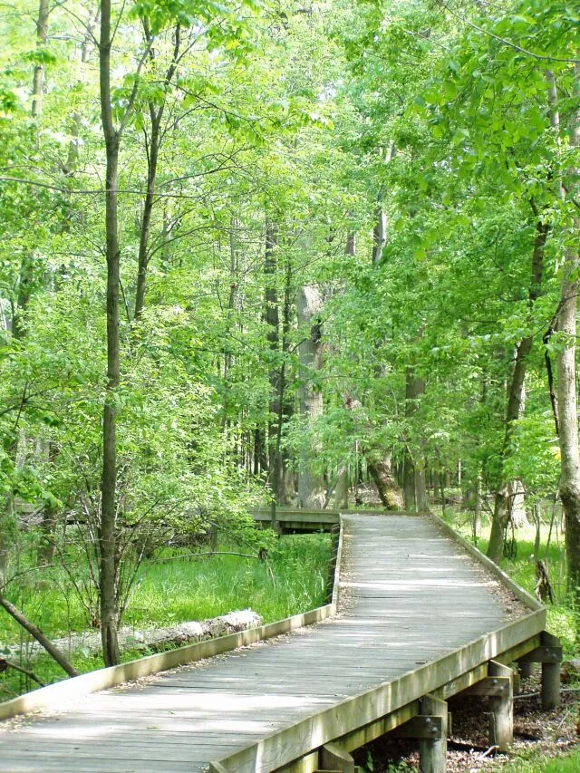 Maumee Bay Campground Sites 119-256