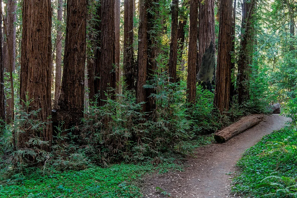 West Ridge Trail Campground