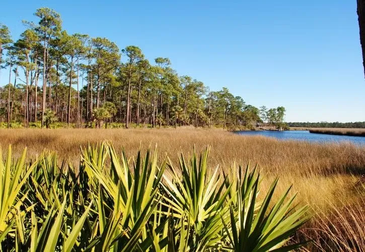 Faverdykes Campground