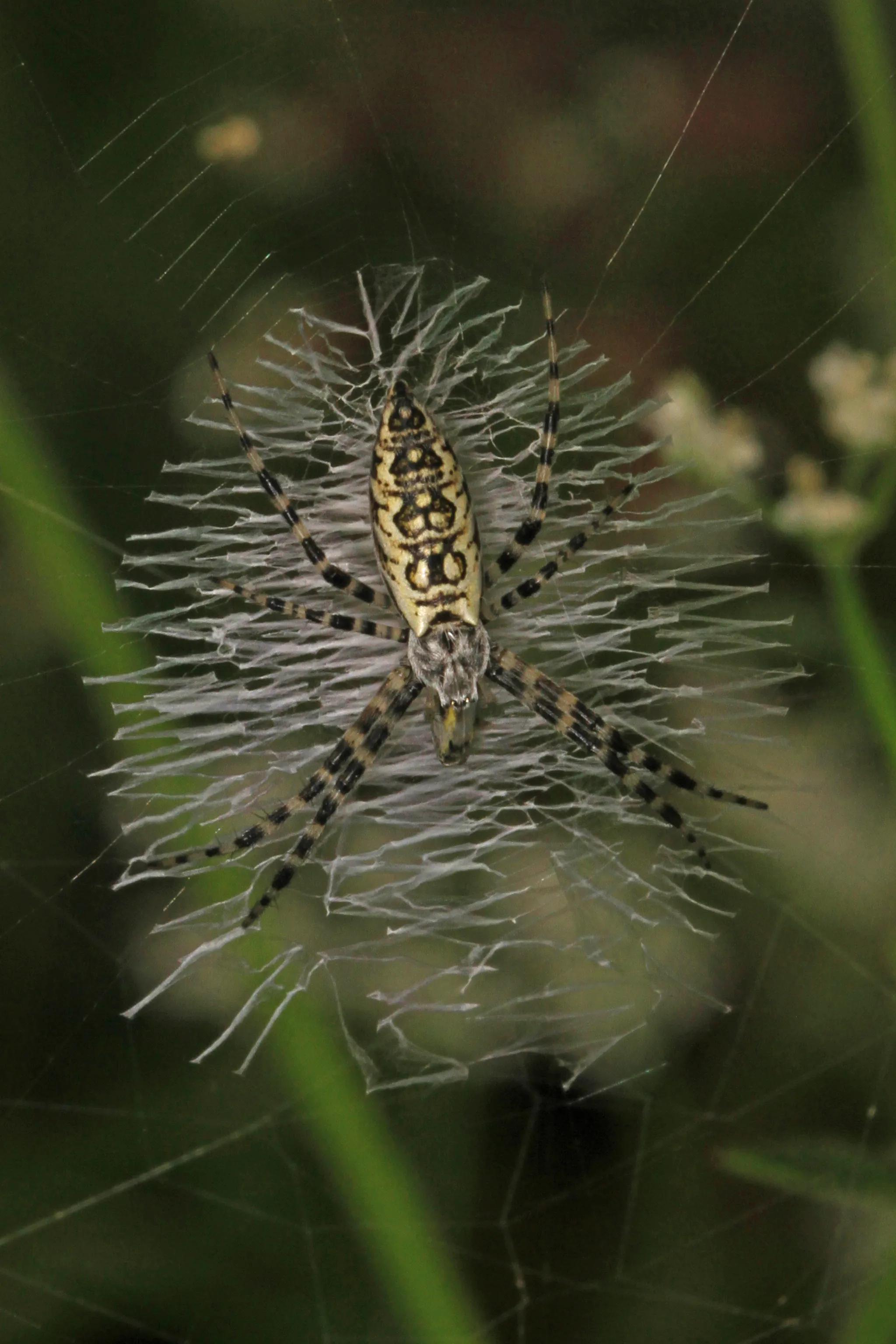 Mckinney Roughs Nature Park