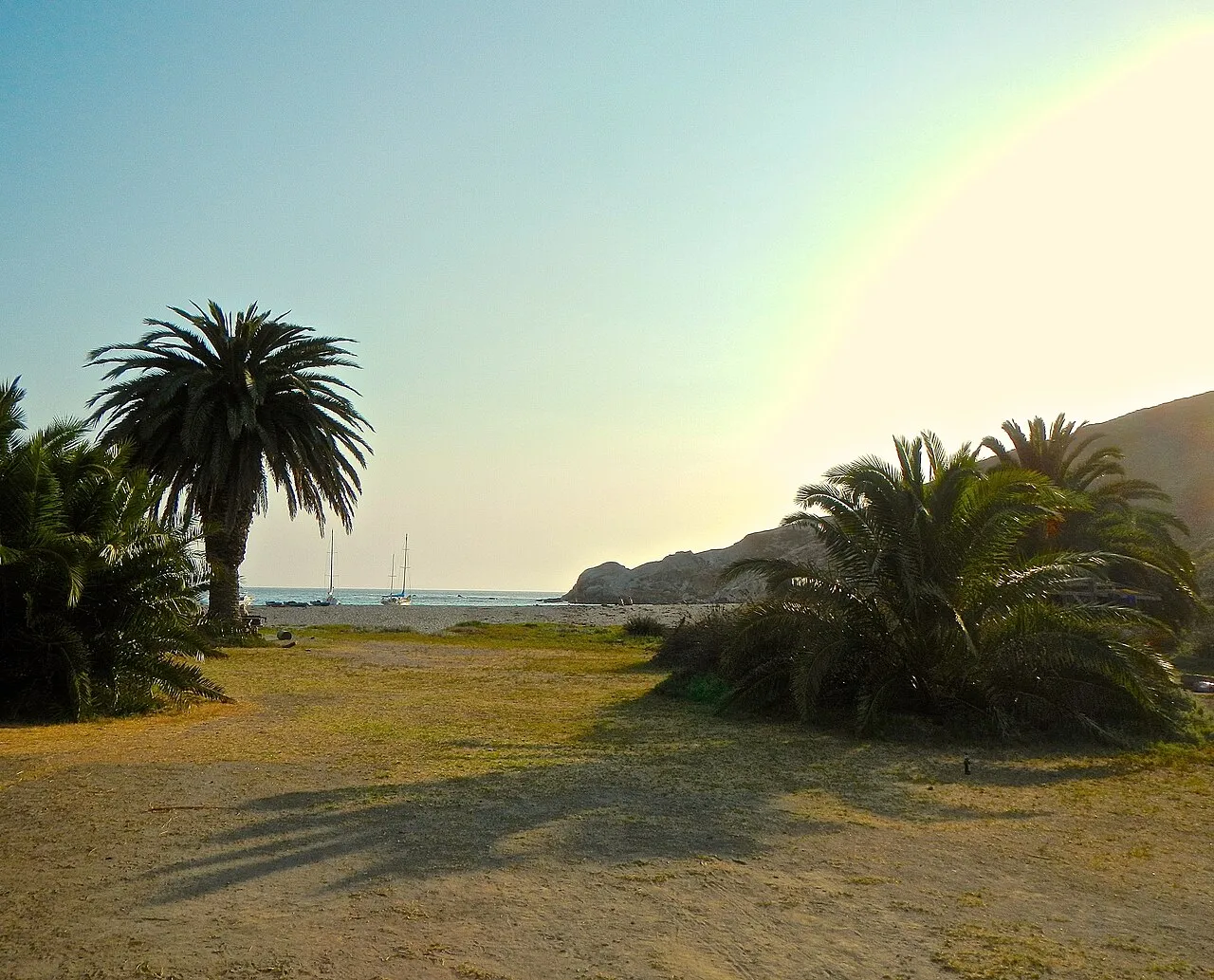 Ringtail Campground