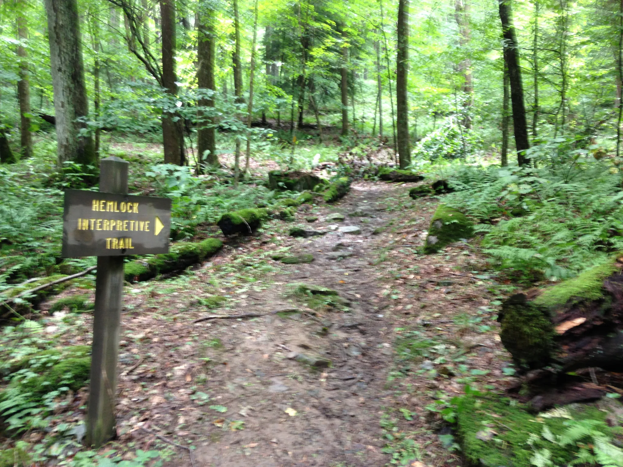 Laurel Hill State Park