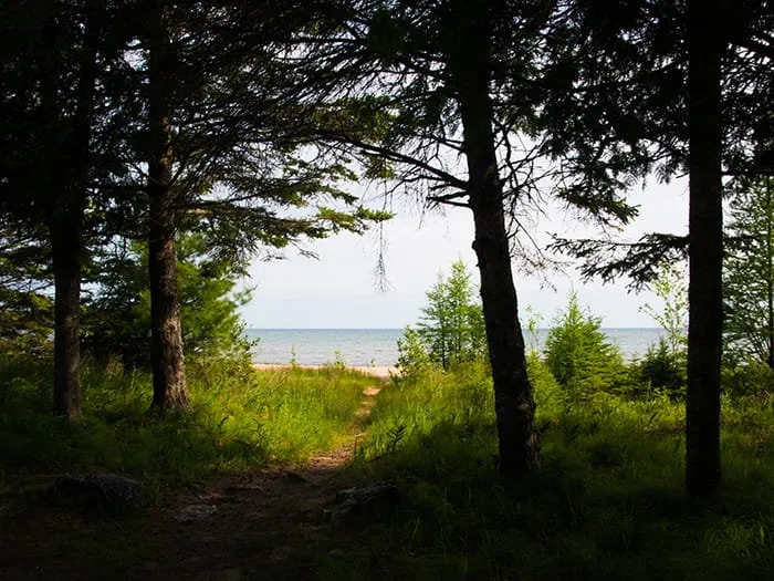 Hog Island Point State Forest Campground