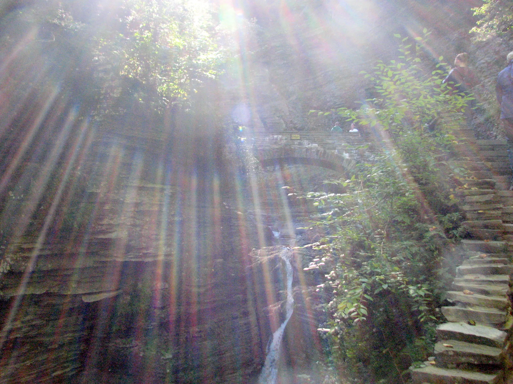 Watkins Glen State Park