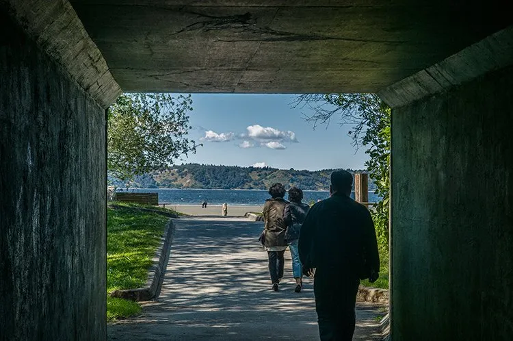 Dash Point State Park