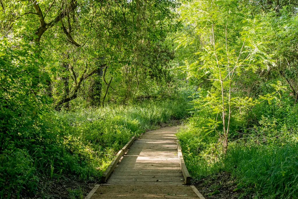 Caswell Memorial State Park Campground