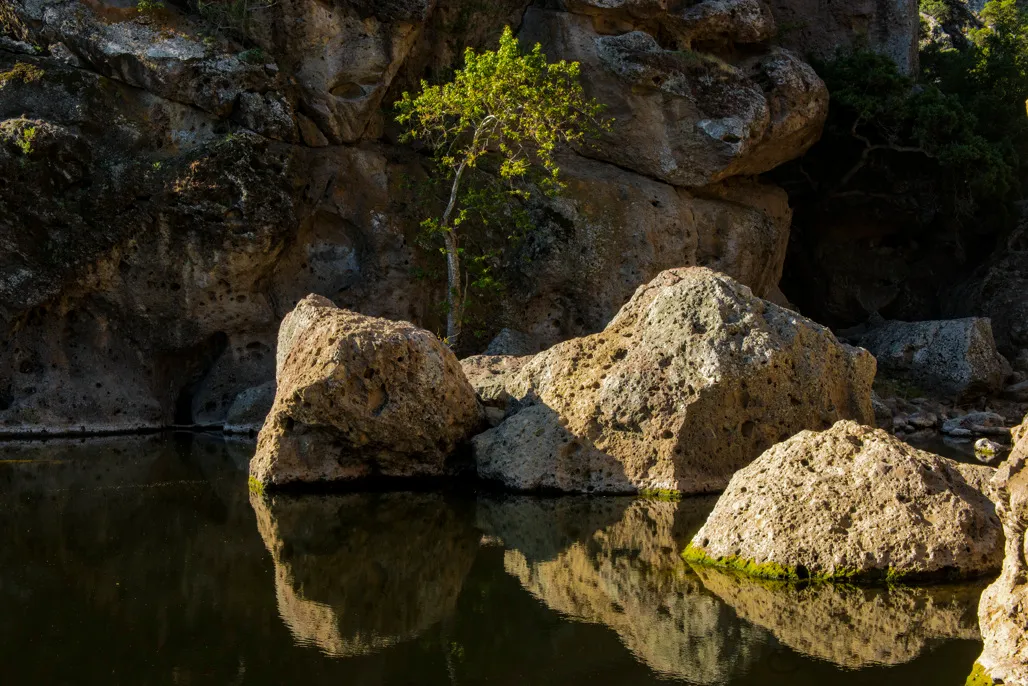 Malibu Creek State Park Campground