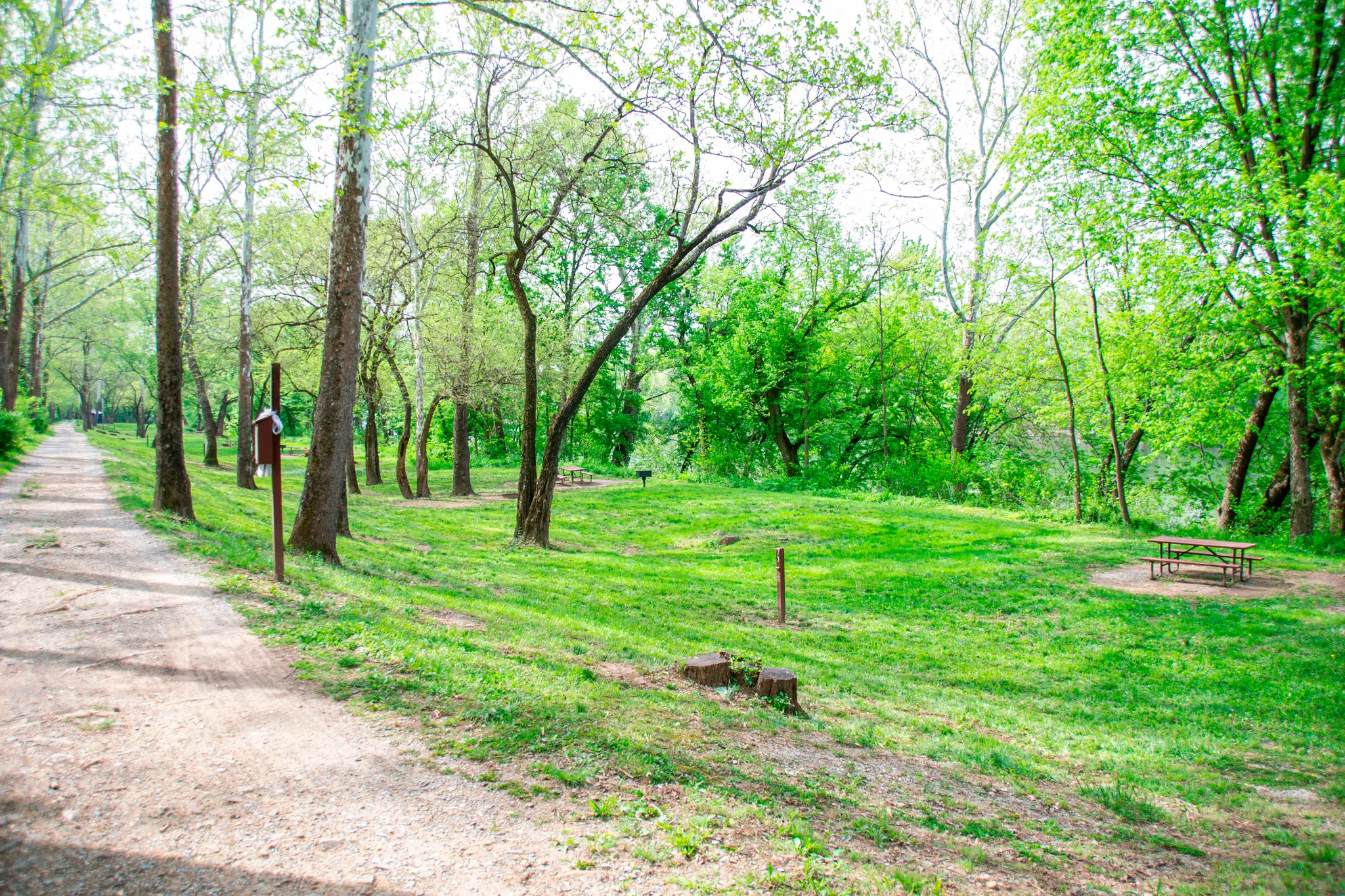 Antietam Creek Campsite