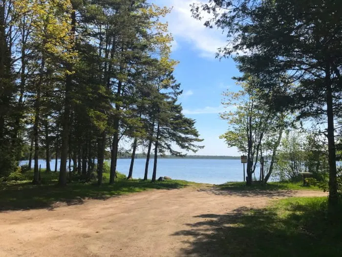Little Brevort Lake-North State Forest Campground