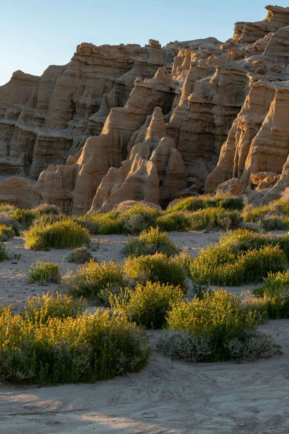 Ricardo Campground