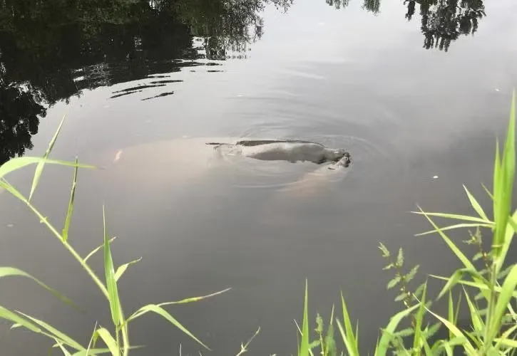 Little Manatee River State Park Loop Lmre