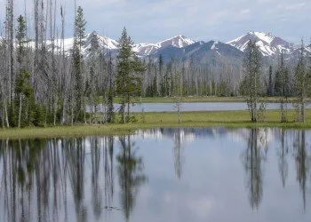 Twin Lakes Campground
