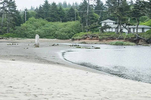Pacific Beach State Park
