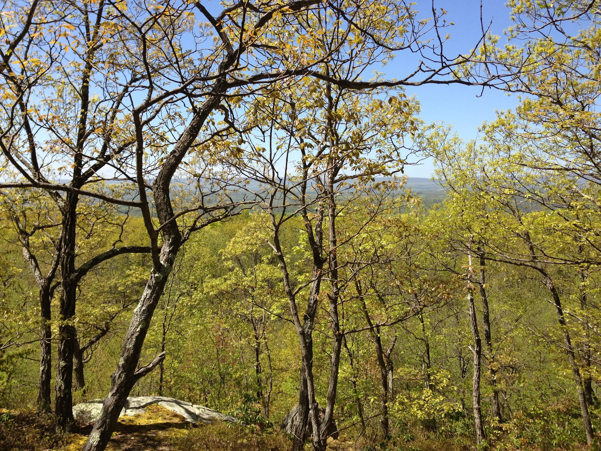 Jenny Jump Campground