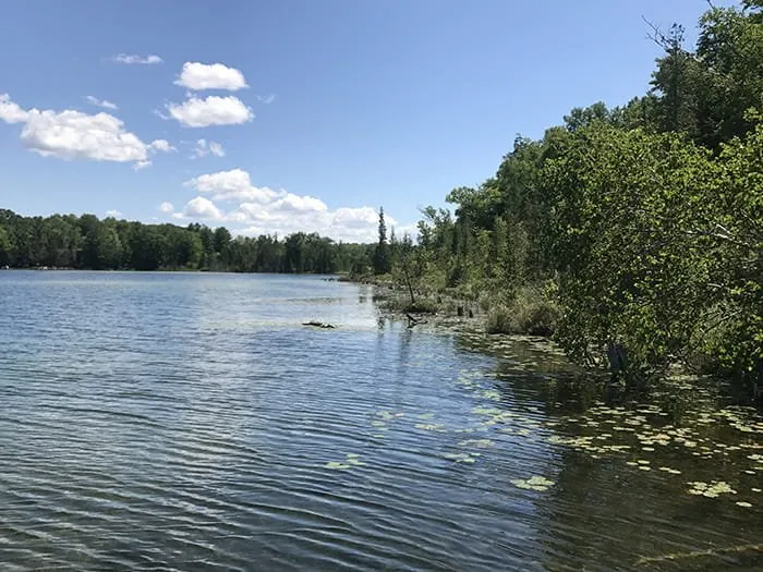 Twin Lakes State Forest Campground
