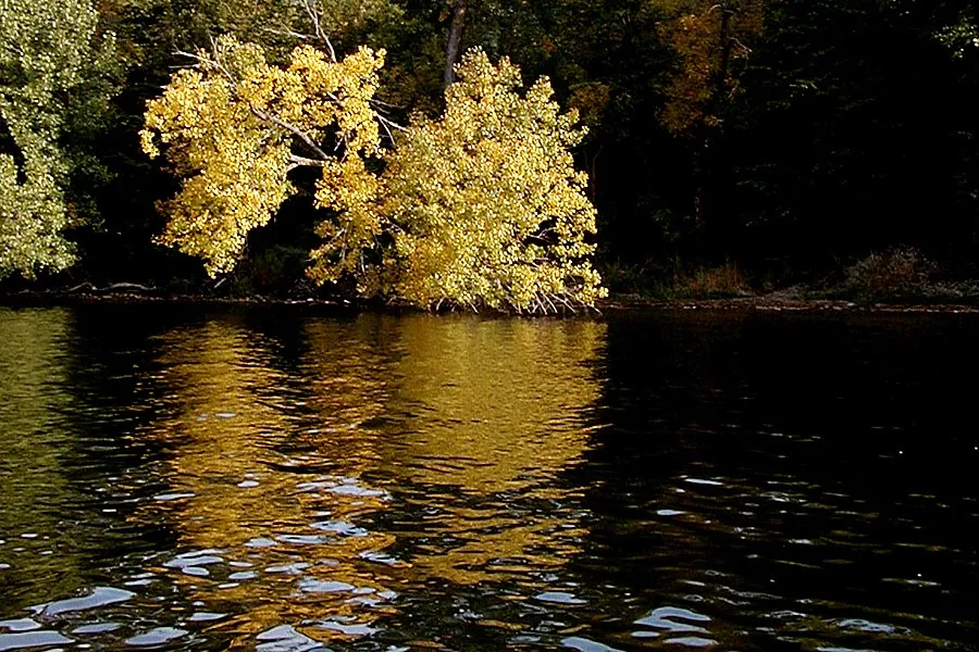 Lakeview Campground