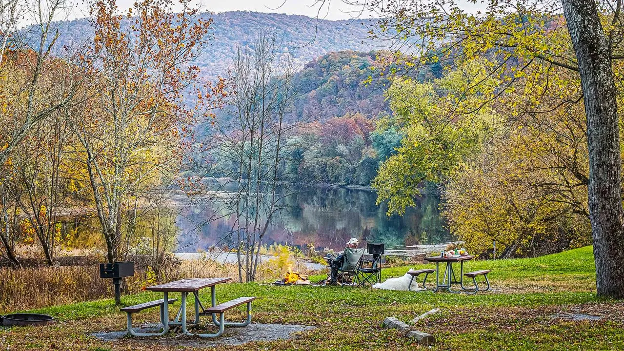 Fifteen Mile Creek Campsite