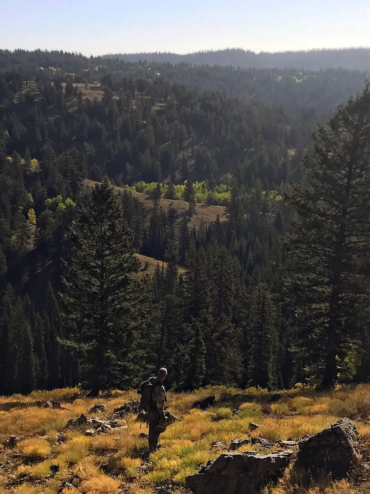 Grandview Campground (Idaho)