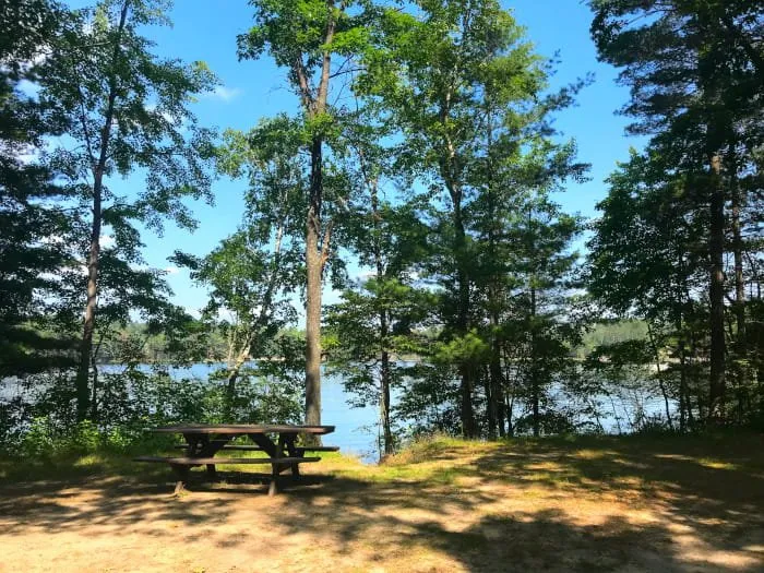 Little Wolf Lake State Forest Campground