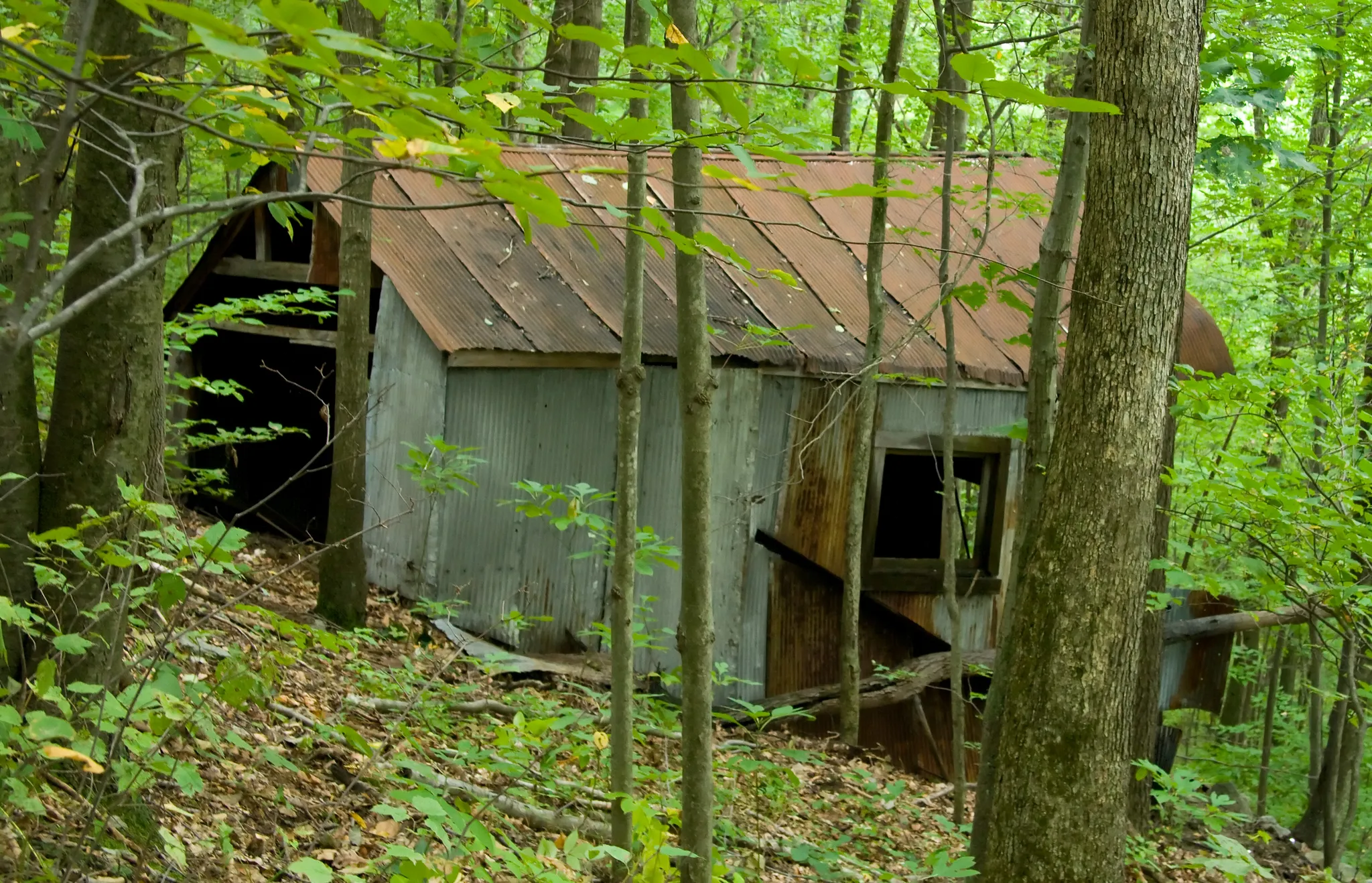 Oil Creek State Park