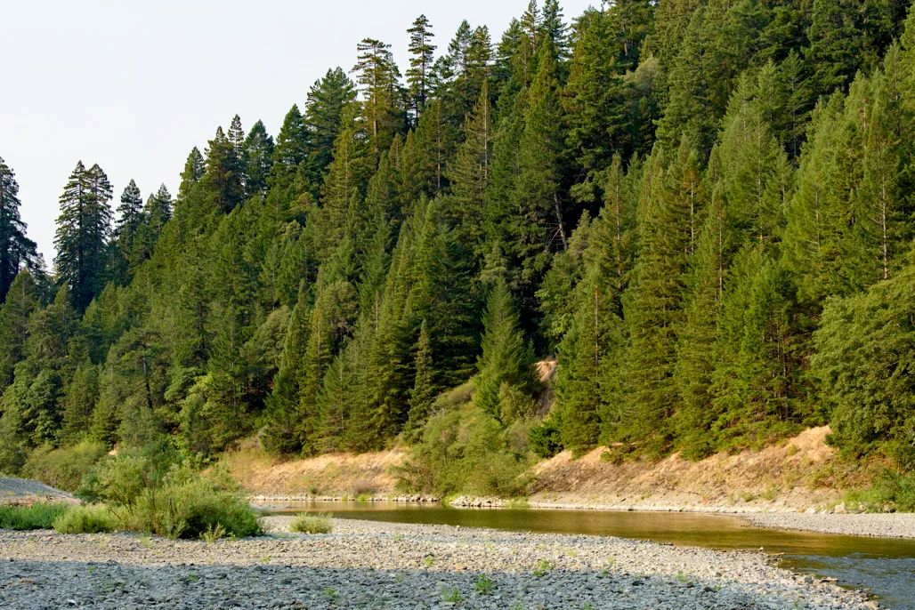 Huckleberry Campground