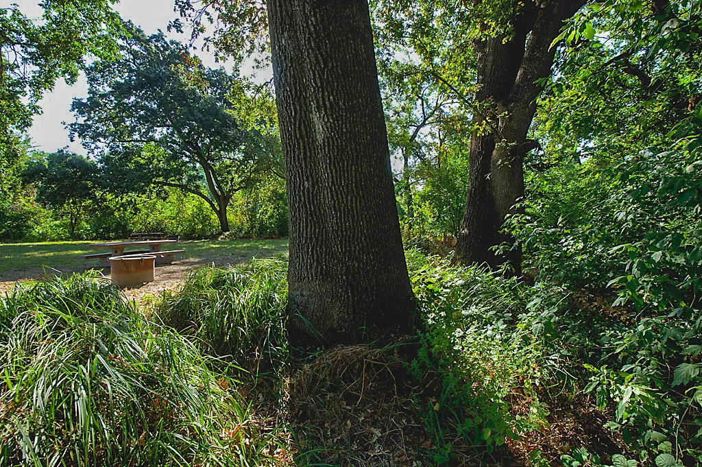Kopta Canoe In Campground