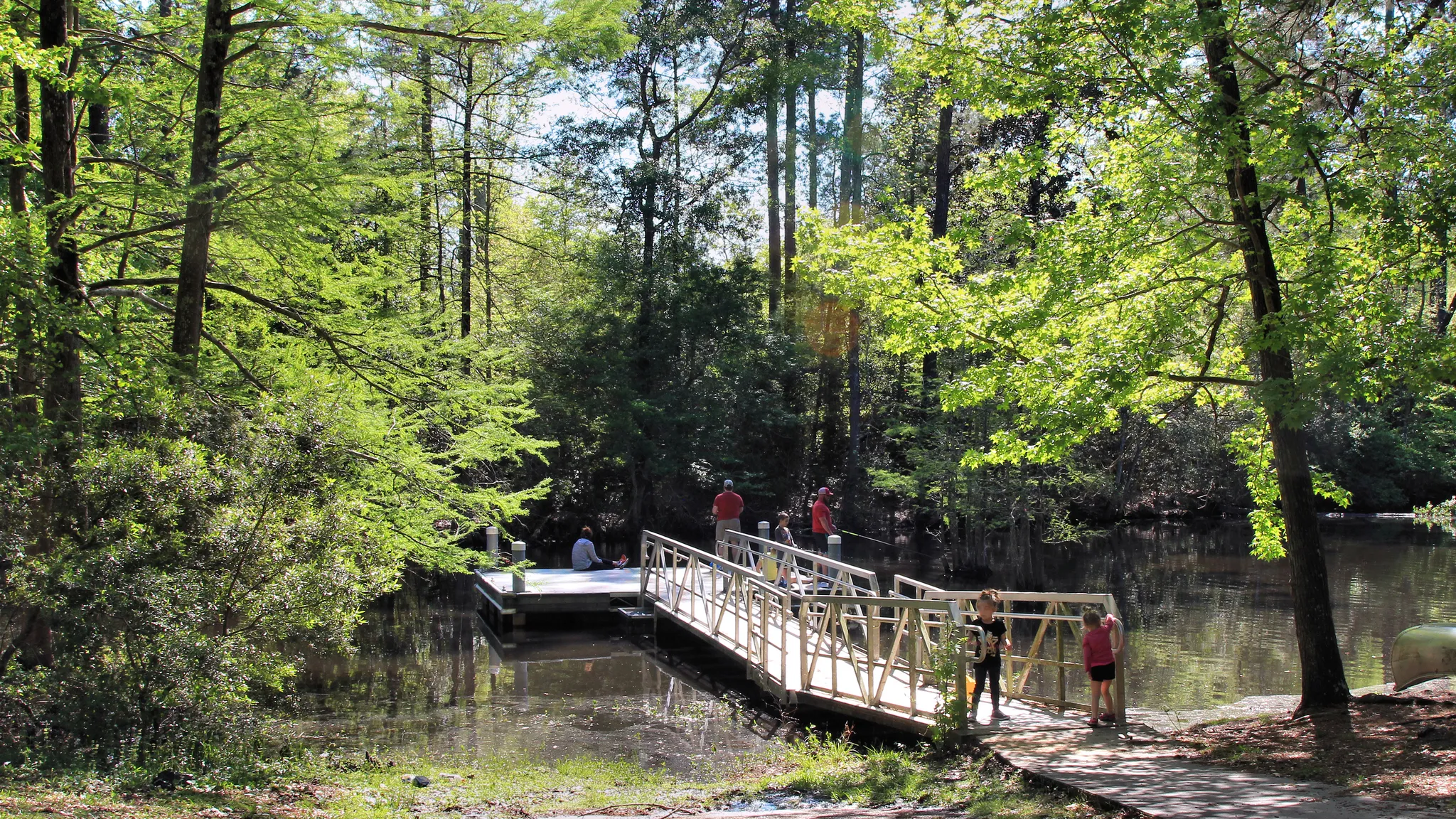 Martin Dies Jr. State Park