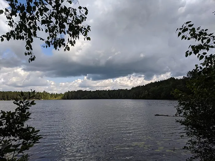 Lake Marjory State Forest Campground