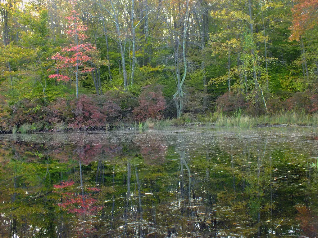 Promised Land State Park