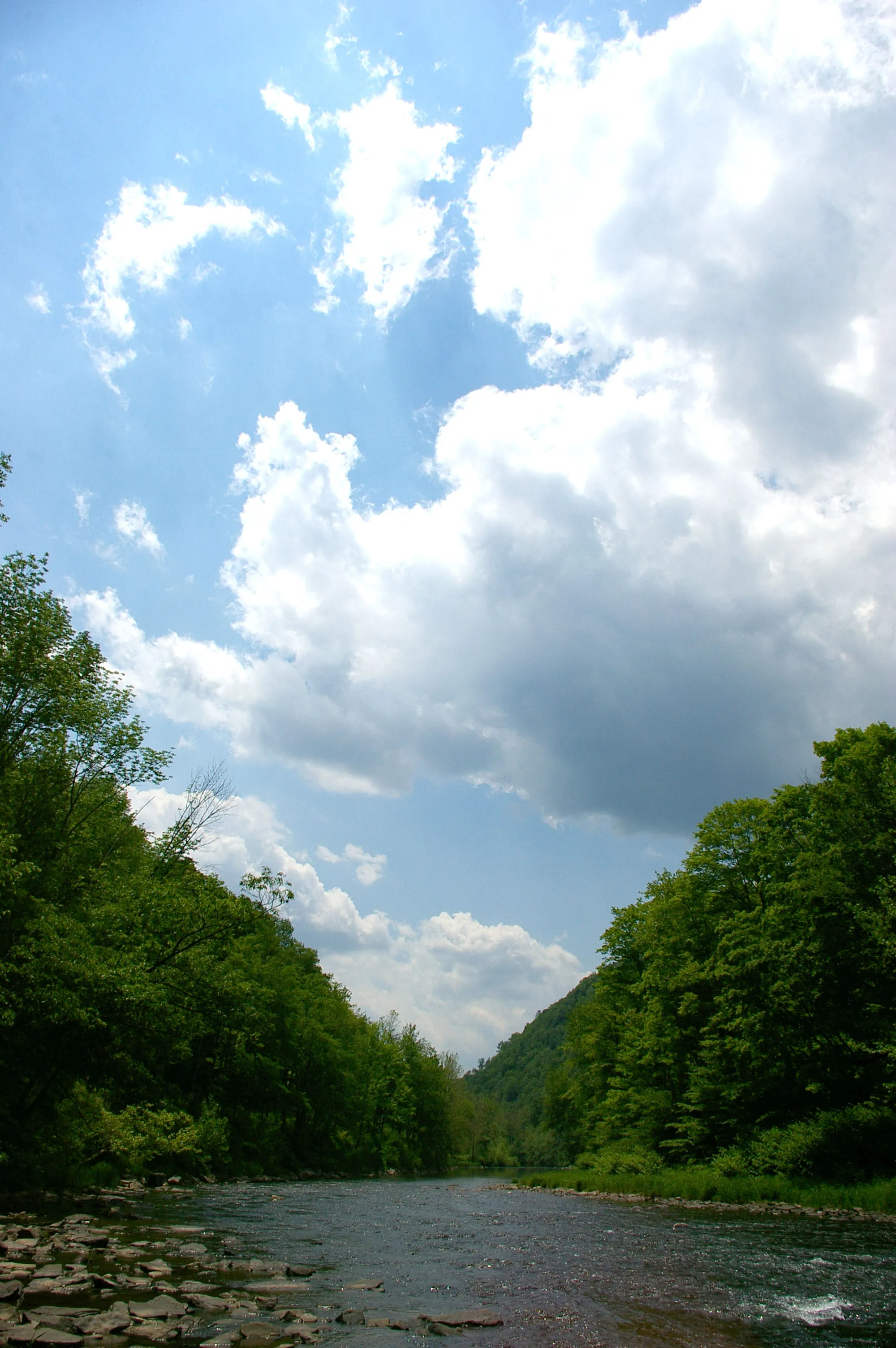 Leonard Harrison State Park