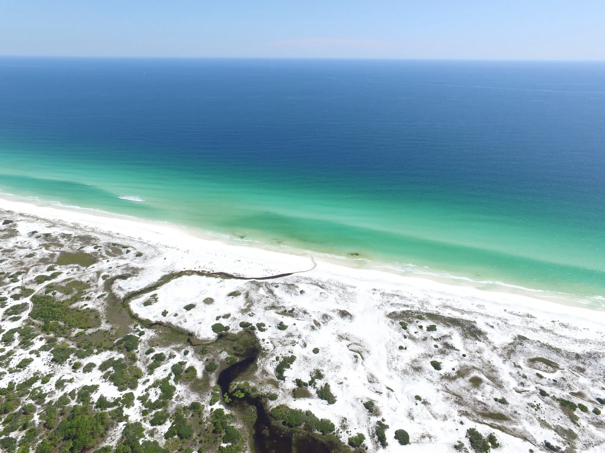 Topsail Hill Preserve State Park Loop 101