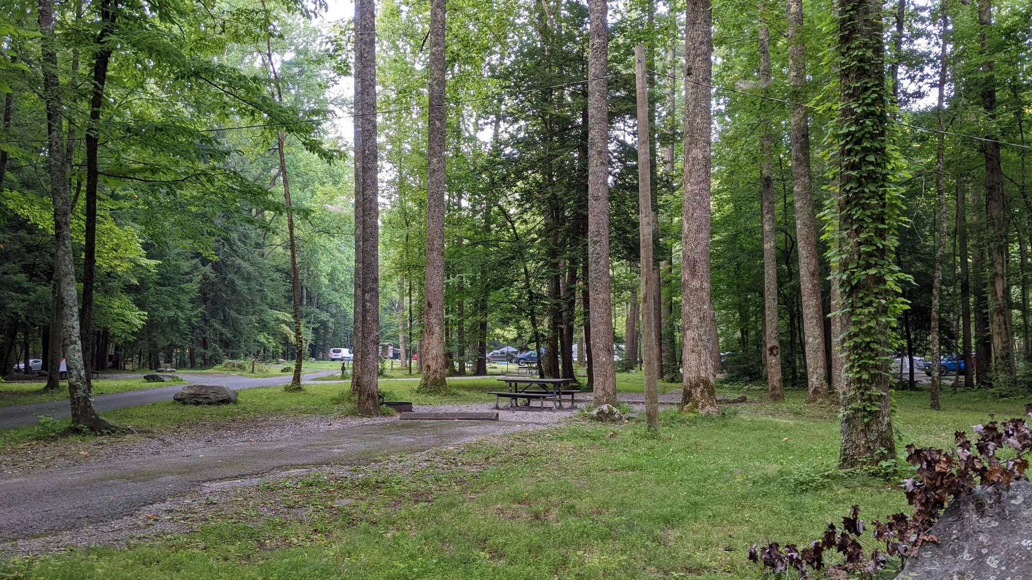 Elkmont Group Camp