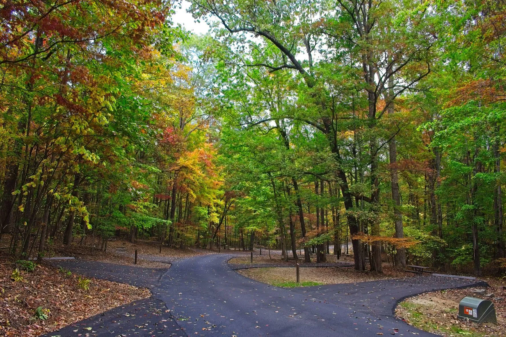 Look Rock Campground