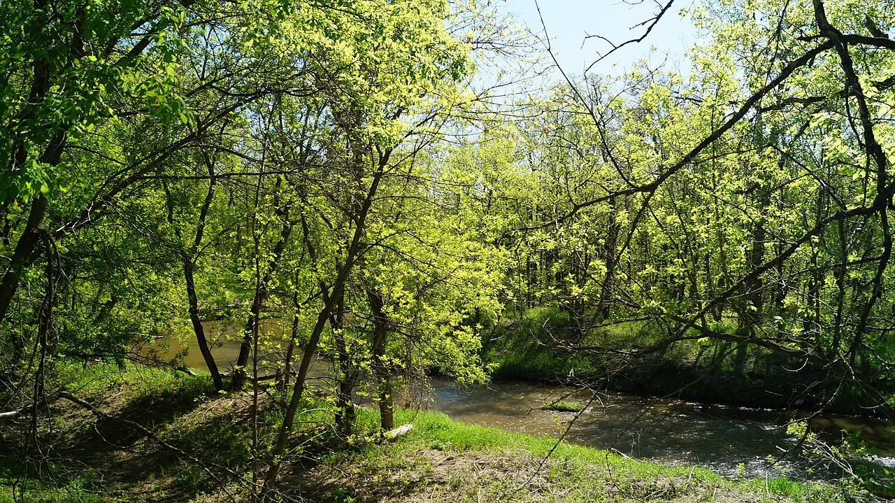 Turtle River Campground